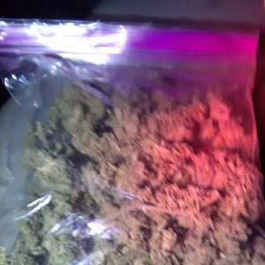 Meet your Posher, Danny